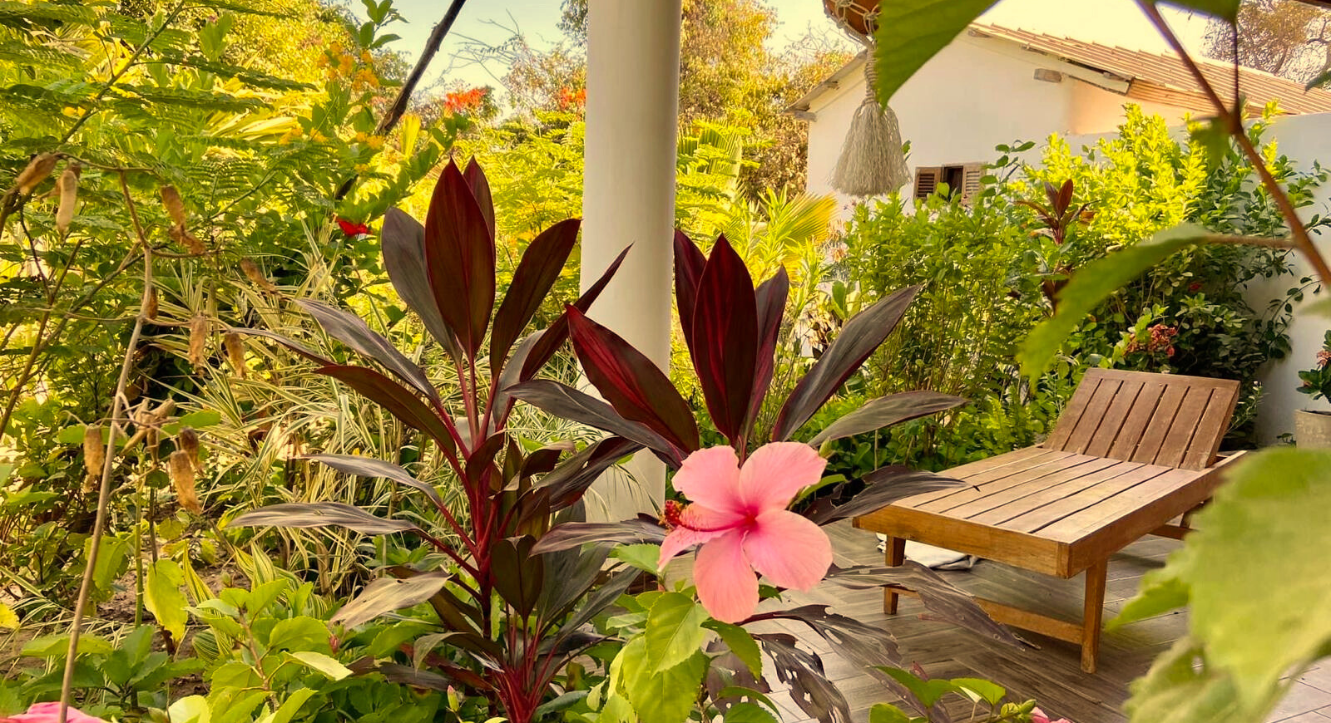 jardin casamance