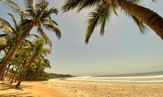 plage et palmier plage en casamence